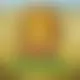 Zagraj Mega Moolah z Games Global w {"id":64,"name":"Tsars Casino","design":{"logo":"tsars-casino-logo-Tw6ZzK.svg","favicon":"tsars-casino-favicon-GU9e0W.png","banner_poker":"tsars-casino-poker-vHCD3u.webp","banner_mobile":"tsars-casino-mobile-EwYfFx.webp","block_bg_color":"#F0F9FF","image_bg_color":"#cffafe","banner_bg_color":"#f0f9ff","block_text_color":"#2E1065","primary_bg_color":"#f3f4f6","banner_text_color":"#2E1065","footer_logos_type":"black","block_round_radius":"0.5rem","primary_text_color":"#2e1065","button_round_radius":"9999px","banner_welcome_bonus":"tsars-casino-welcome-bonus-rBAx1m.webp","primary_button_bg_color":"#8b5cf6","primary_button_text_color":"#fff","secondary_button_bg_color":"#3730a3","secondary_button_text_color":"#fff"},"created_at":"2025-05-14T09:25:22.000000Z","updated_at":"2025-05-14T09:25:22.000000Z","deleted_at":null}