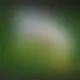 Zagraj Let It Ride z Playtech w {"id":64,"name":"Tsars Casino","design":{"logo":"tsars-casino-logo-Tw6ZzK.svg","favicon":"tsars-casino-favicon-GU9e0W.png","banner_poker":"tsars-casino-poker-vHCD3u.webp","banner_mobile":"tsars-casino-mobile-EwYfFx.webp","block_bg_color":"#F0F9FF","image_bg_color":"#cffafe","banner_bg_color":"#f0f9ff","block_text_color":"#2E1065","primary_bg_color":"#f3f4f6","banner_text_color":"#2E1065","footer_logos_type":"black","block_round_radius":"0.5rem","primary_text_color":"#2e1065","button_round_radius":"9999px","banner_welcome_bonus":"tsars-casino-welcome-bonus-rBAx1m.webp","primary_button_bg_color":"#8b5cf6","primary_button_text_color":"#fff","secondary_button_bg_color":"#3730a3","secondary_button_text_color":"#fff"},"created_at":"2025-05-14T09:25:22.000000Z","updated_at":"2025-05-14T09:25:22.000000Z","deleted_at":null}